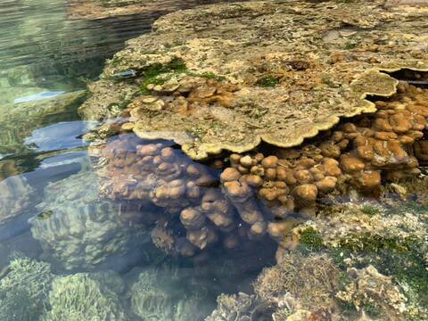 Nét Đẹp Hang Rái - Vĩnh Hy Ninh Thuận - Bảo An Travel